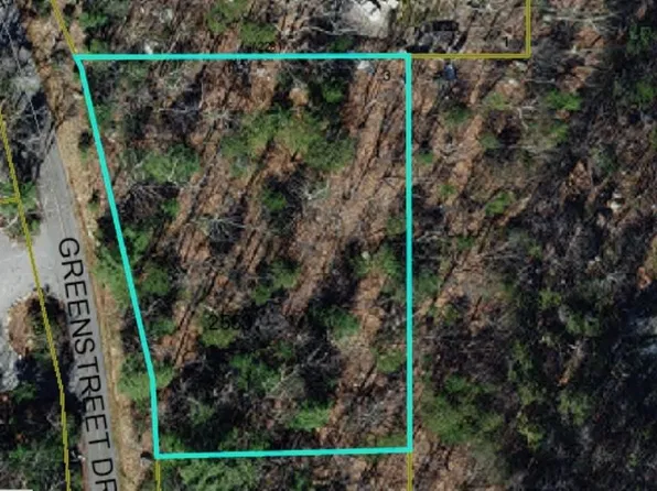 Greenstreet Dr Lot 21, Traphill, NC 28685