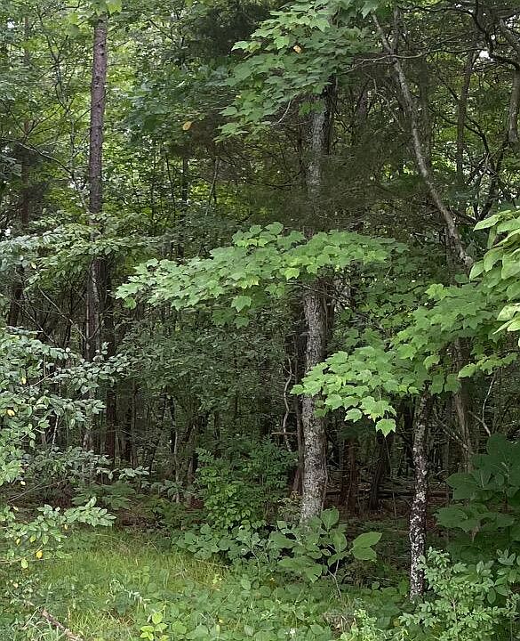 2nd image of 4281 Webb Rd