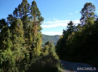 99999 Pinnacle Mountain Rd, Candler, NC 28748