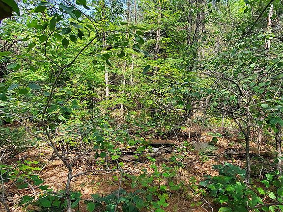 2nd image of 172A Bass Lake Ln