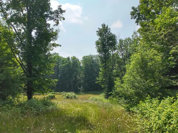 3.38 Acres County F Road, Antigo, WI 54409