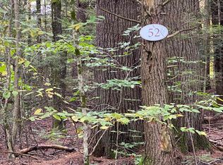 52 Longwood Dr, Grantham, NH 03753