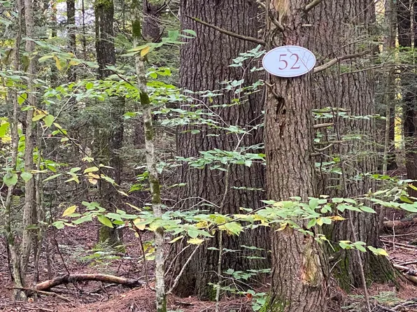 52 Longwood Drive, Grantham, NH 03753