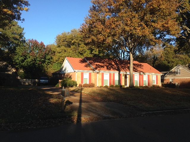 Frontyard