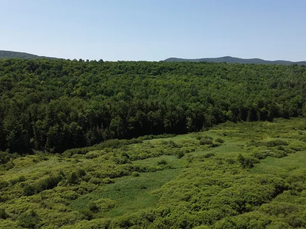 Lot 0 Roxbury Road, Roxbury, VT 05669