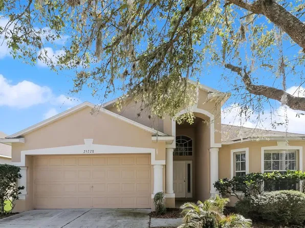 25228 Geddy Dr, Land O Lakes, FL 34639