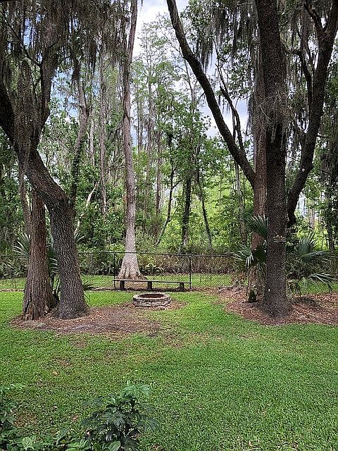 back yard
