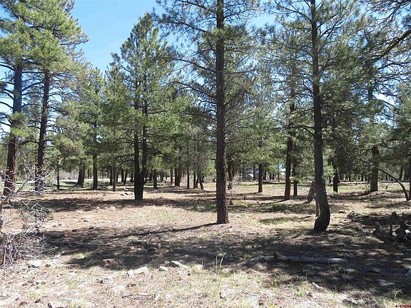 5th image of 1445 Trails Boulevard