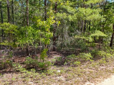 Margaret Blvd, Defuniak Springs, FL, 32433
