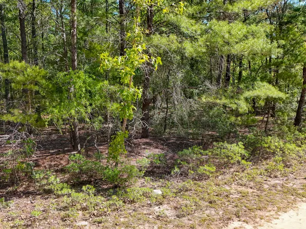 Margaret Blvd, Defuniak Springs, FL 32433