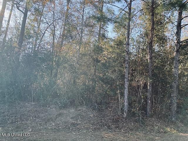 1st image of Kino Pl Lot 17