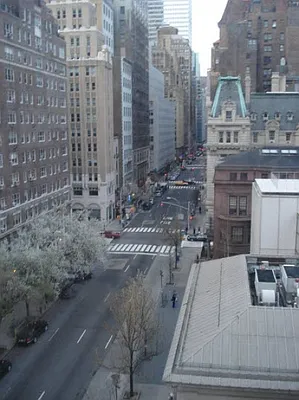 Rented by Safeguard Realty Management | media 22