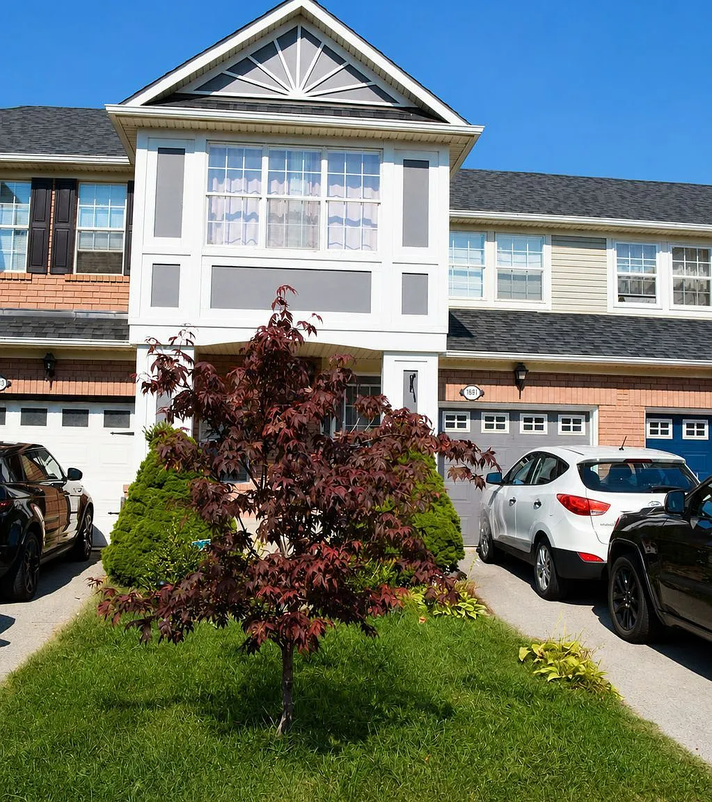 3 bed, $3,200 — Photo 3