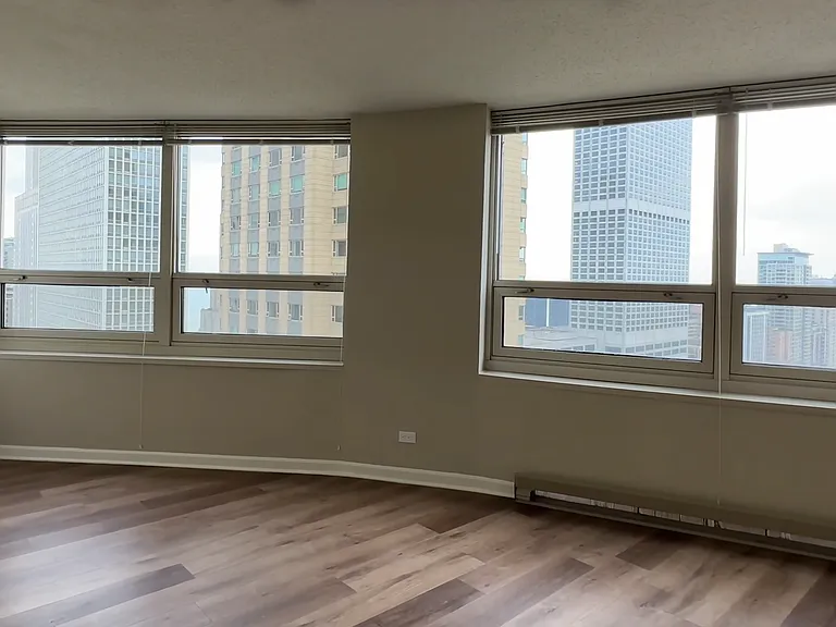 745 N Rush St #3203 — Photo 6