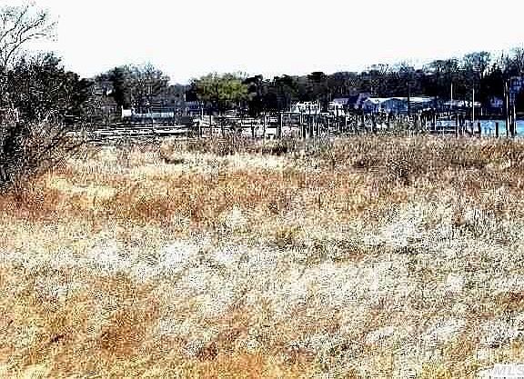 5th image of 37D Gardners Ln