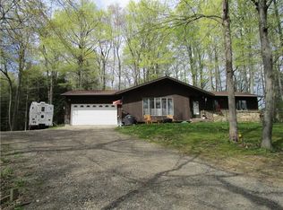 1113 Sharp Hill Rd, Arkport, NY 14807