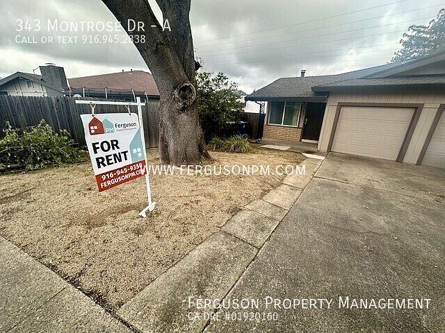 1st image of 343 Montrose Dr APT A