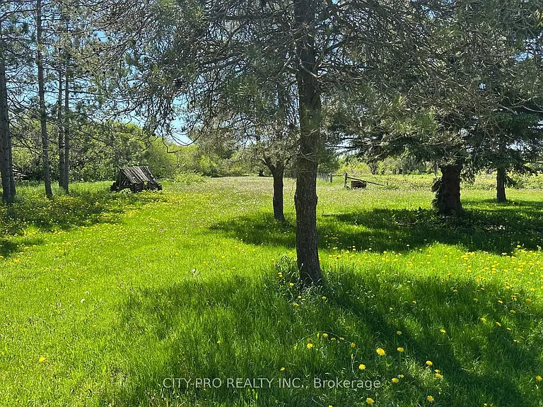 513370 2nd Line #MAIN FLOOR — Photo 19
