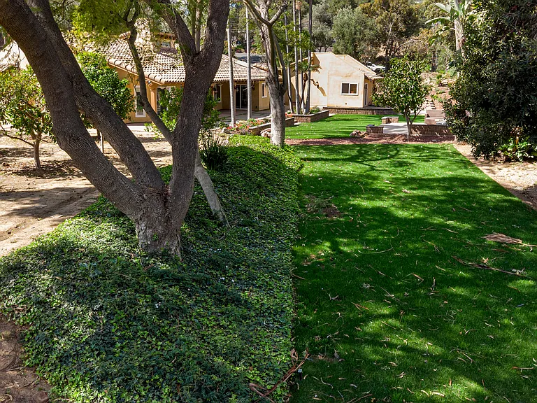 1315 Macadamia Dr — Photo 11