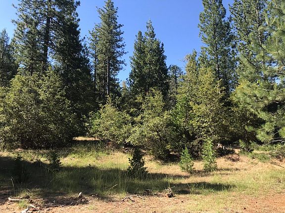 5th image of 19710 Ponderosa Dr