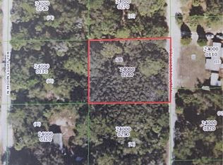 11320 N Clamdigger Ter, Inglis, FL 34449