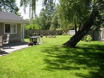 Back yard