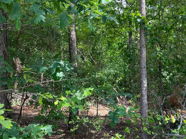 2 Xx Lot Rosboro, Glenwood, AR 71943