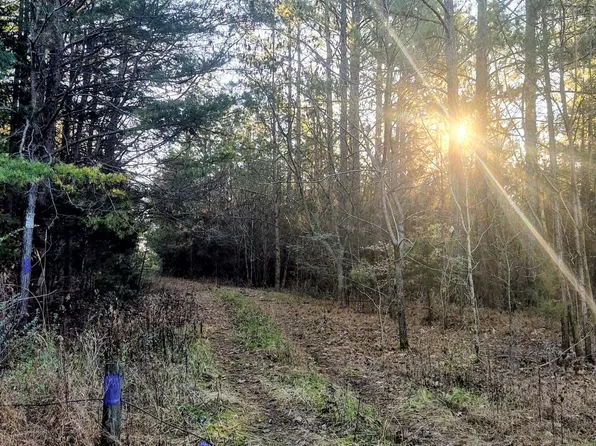 County Road 414, Englewood, TN 37329