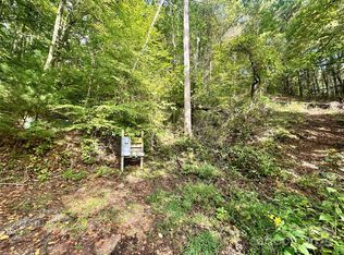 11 & 17 Tara Dr, Asheville, NC 28806