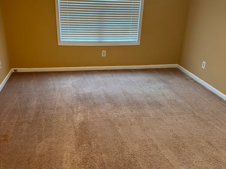 1161 Primrose View Cir — Photo 22