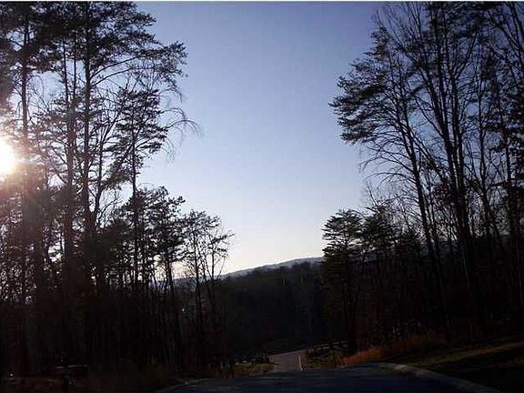 3rd image of 1010 Falcon Run Dr