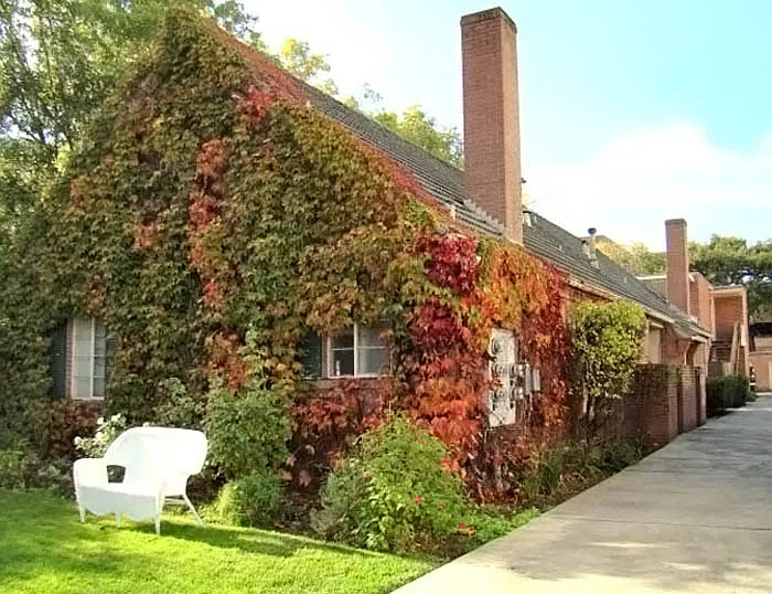421 Forest Ave