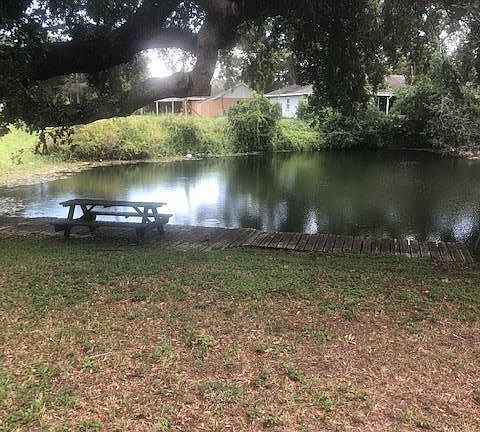backyard pond