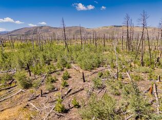 1596 Douglas Ln, Fort Garland, CO 81133