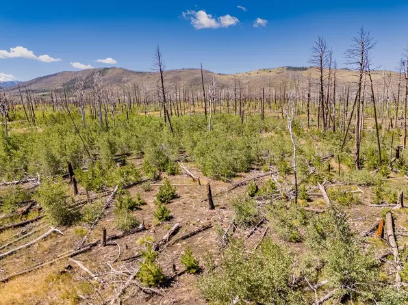 1596 Douglas Ln, Fort Garland, CO 81133