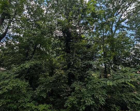 2nd image of Kirkcolm Ln #3