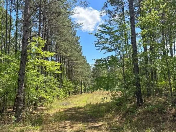 2078 Little Rock Rd, Crystal Springs, MS 39059