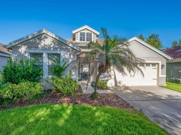 6105 GANNETSIDE PLACE, LITHIA, FL 33547
