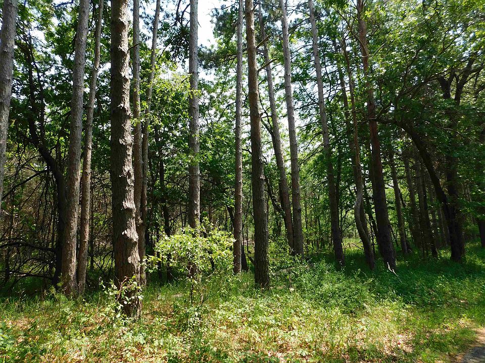 1st image of N4502 Pine Rd N