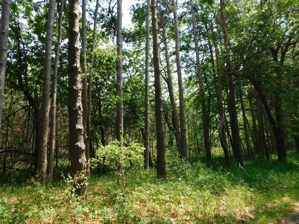 N4502 Pine Rd N, Montello, WI 53949