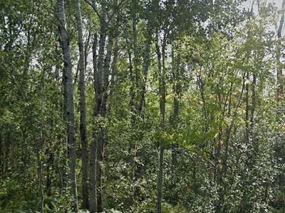 40ac COUNTY ROAD B, South Range, WI, 54874