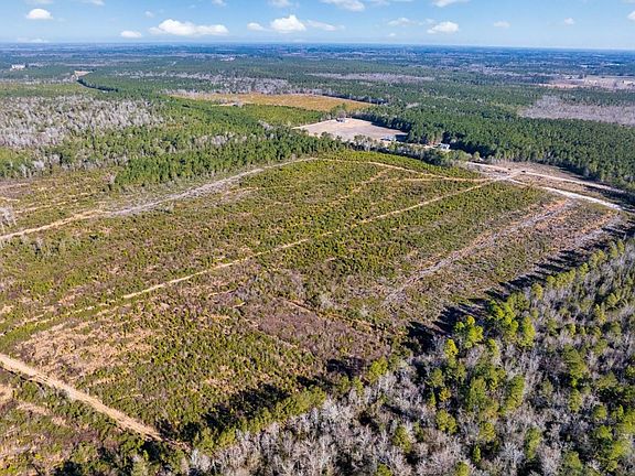 3rd image of 100 Acres Fifteen Mile Bay Rd.