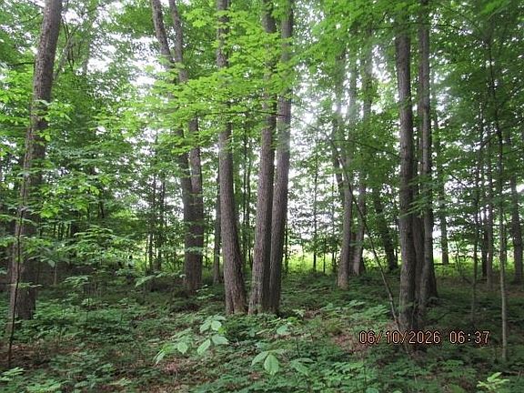 4th image of LOT 1 Anderson Rd