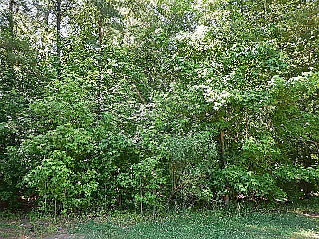 1st image of J6 116 1 Red Oak Battleboro Road