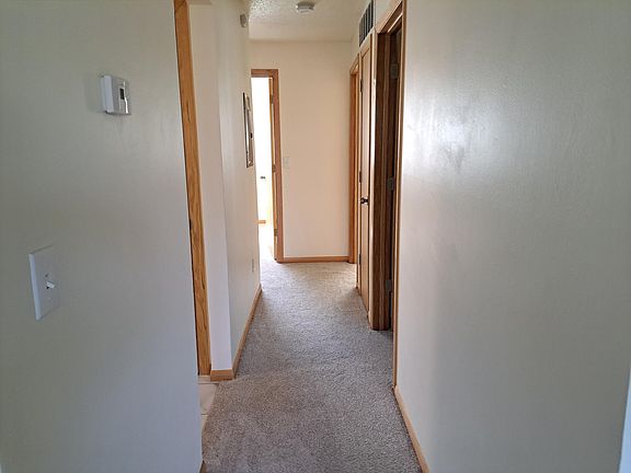 Hallway to bathroom and bedrooms