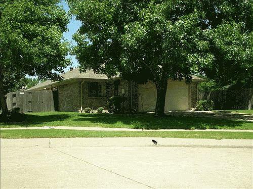 Spur Ranch Front Yard