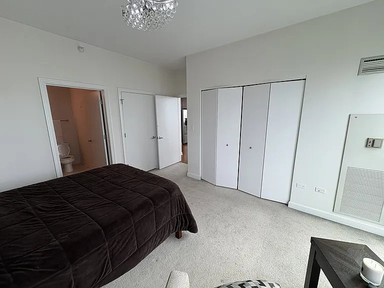 1201 S Prairie Ave #4206 — Photo 12