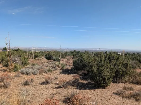 12 Tamarack Rd, Pinon Hills, CA 92372