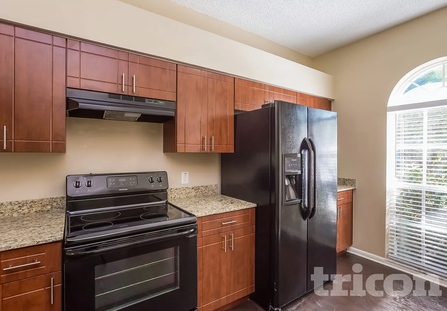 4501 Cabbage Palm Drive Valrico FL — Photo 4