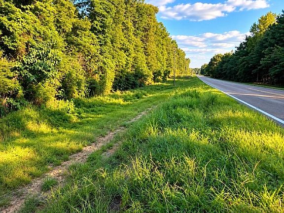 4th image of Highway 48 E Lot Wp003